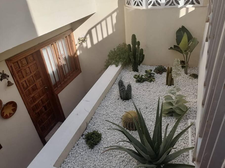 Casa Las Pencas De Margarita ลอส เรอาเลคอส ภายนอก รูปภาพ