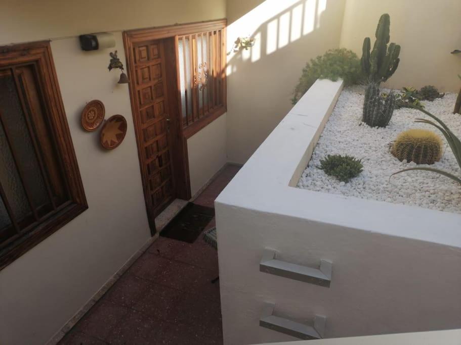 Casa Las Pencas De Margarita ลอส เรอาเลคอส ภายนอก รูปภาพ